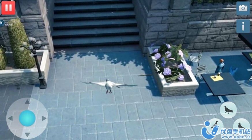 饥饿的鸽子模拟器3