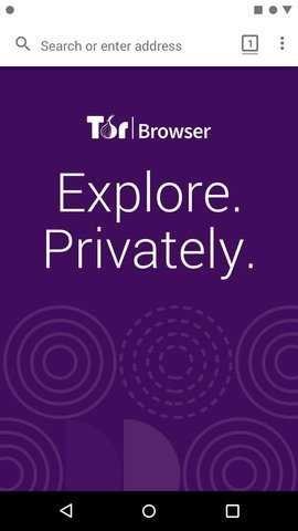 洋葱tor路由器（Tor Browser）2