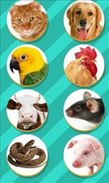 仓鼠叫声翻译器（Pet Translator）2