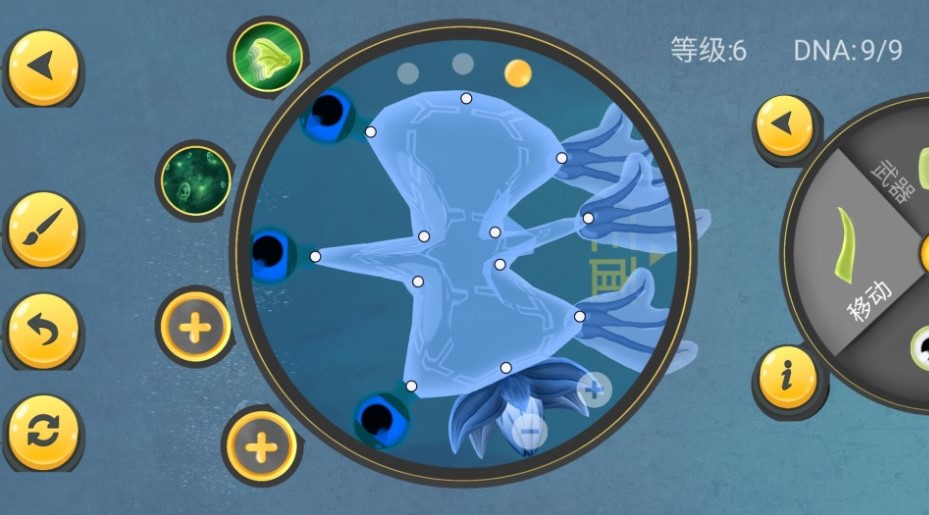 微生物进化挑战3