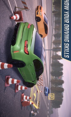 停车大师多人游戏23