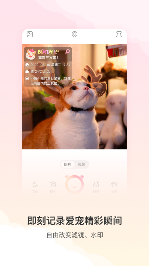 宠物水印相机