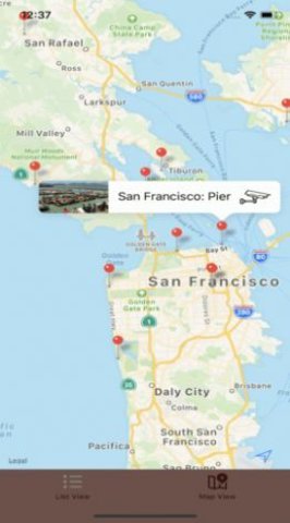 Live Camera Viewer软件2