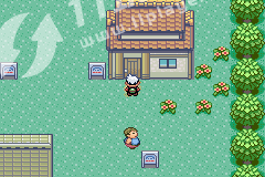 究极绿宝石4小智版二周目1