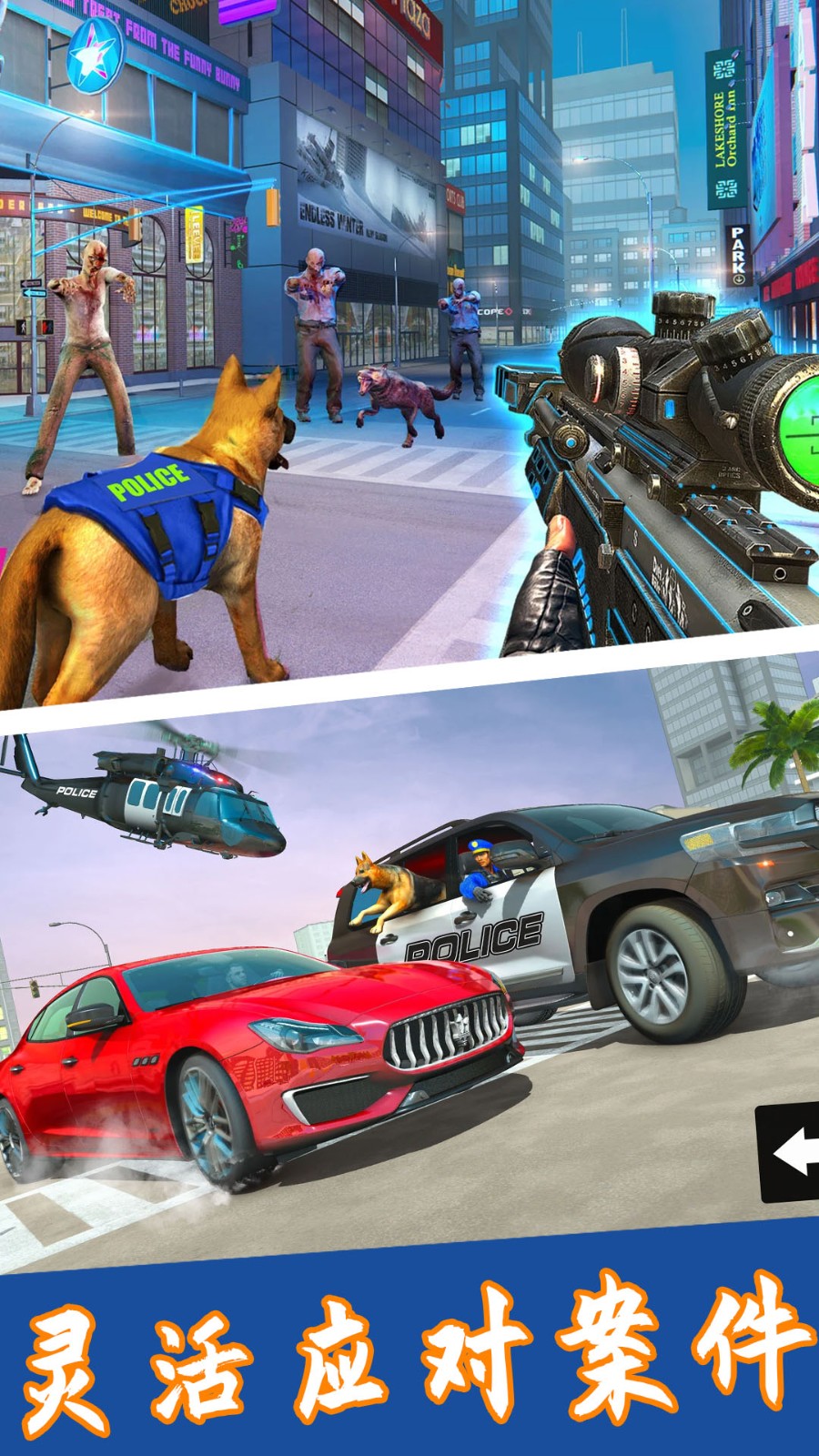 神奇小狗冒险记1