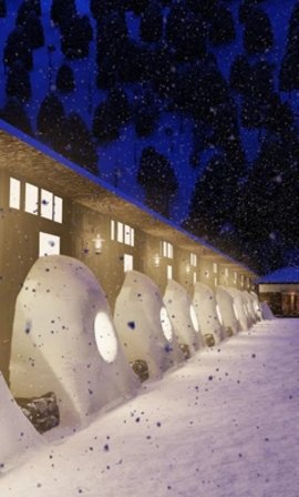 逃离温泉村（Onsen）1