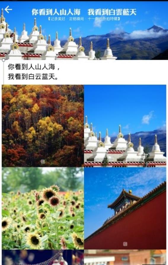 **壁纸