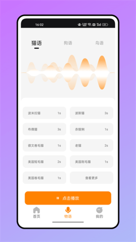 鼠语音翻译器（仓鼠翻译器）1
