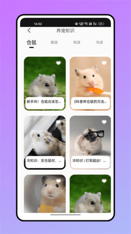 鼠语音翻译器app（仓鼠翻译器）