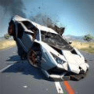 大型汽车碰撞模拟器（Car Crash Simulator）