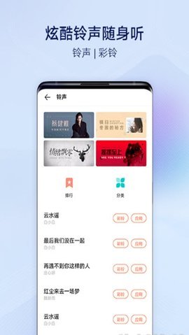 vivo主题商店（Themes）3