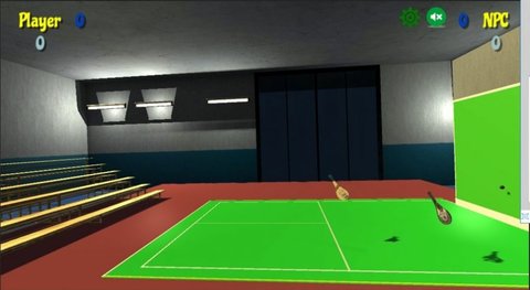 前墙球拍（Paleta Fronton）2