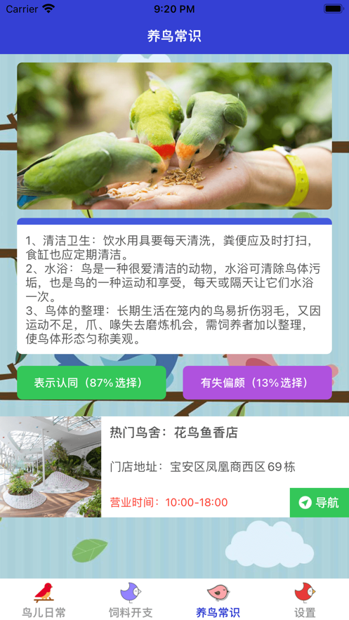 鸟儿的喳喳生活1