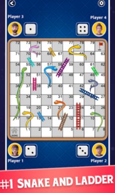 Snake Ladde2