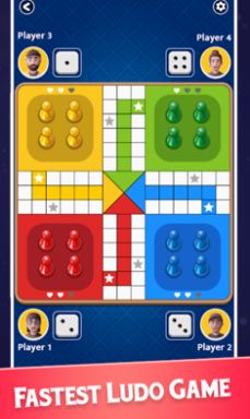 Snake Ladde3