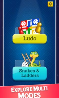 Snake Ladde4
