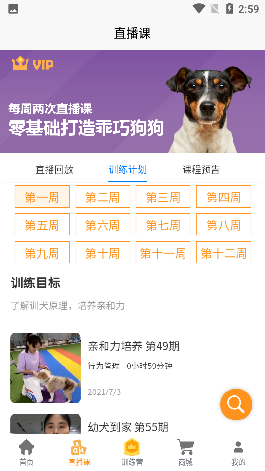 狗狗宠物训养社区1