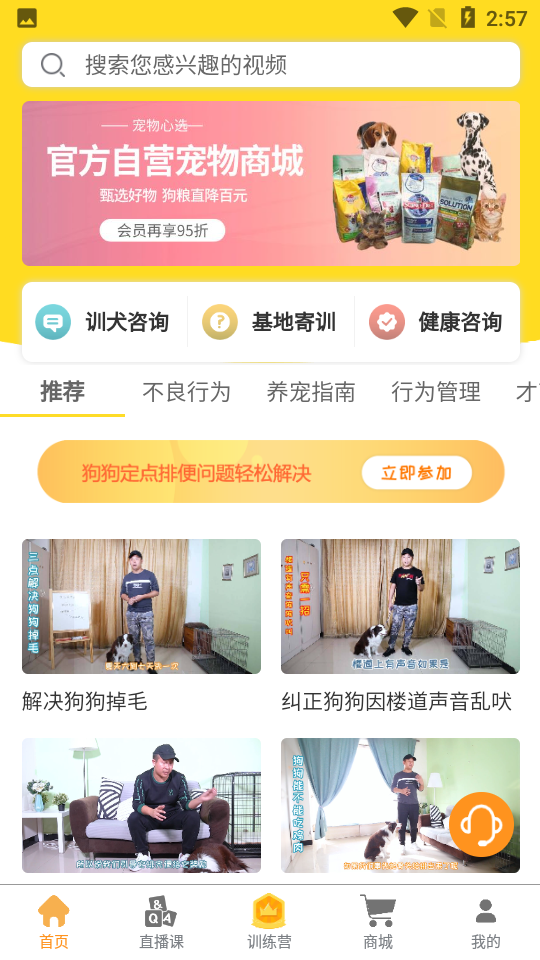 狗狗宠物训养社区